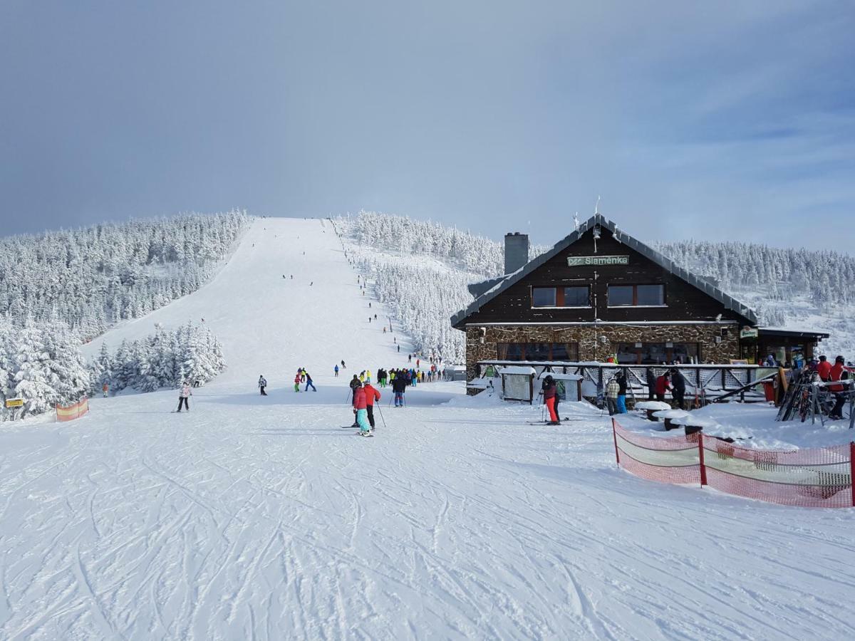 Depandance MARNET Sněžník Apartamento Dolní Morava Exterior foto
